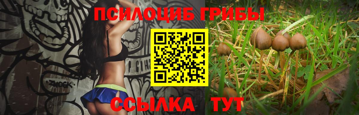 Псилоцибиновые грибы GOLDEN TEACHER Ярцево