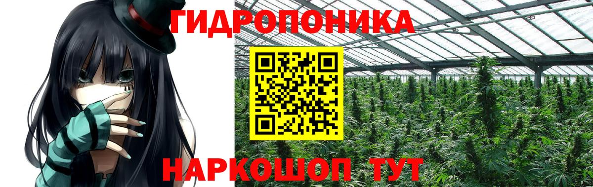 Конопля гибрид Ярцево